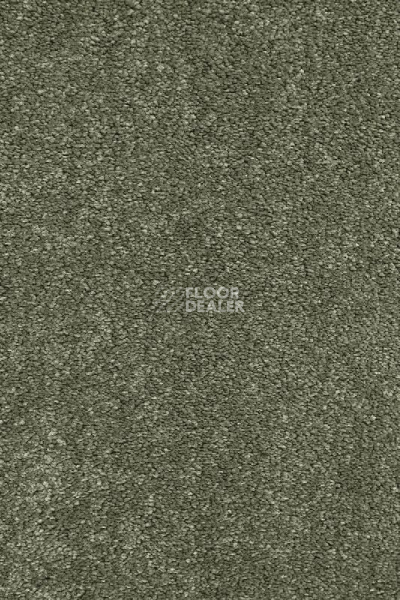 Ковролин AW Gaia Equinox 29 фото 1 | FLOORDEALER